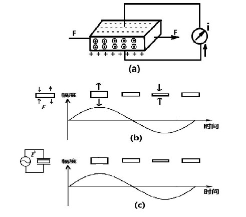 逆壓電效應圖